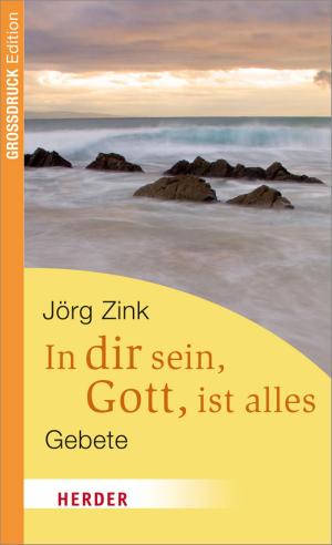 bigCover of the book In dir sein, Gott, ist alles by 