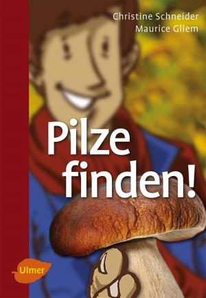 Book cover of Pilze finden