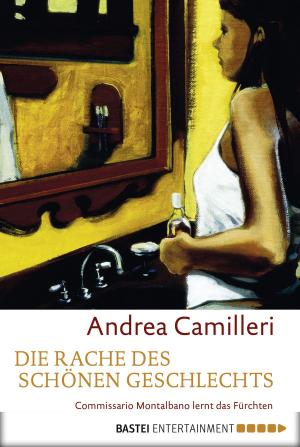 Cover of the book Die Rache des schönen Geschlechts by Helga Winter