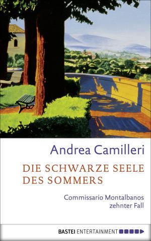Cover of the book Die schwarze Seele des Sommers by Britta Sabbag