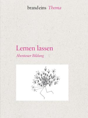 Cover of the book Lernen lassen by Anderson Rodrigues de Miranda