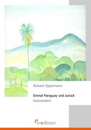 Cover of the book Einmal Paraguay und zurück by Christoph-Maria Liegener, Michael Spyra, Walther (Werner) Theis, Gerhard Gerstendörfer, Helge Hommers, Franziska Lachnit, Susanne  Ulri