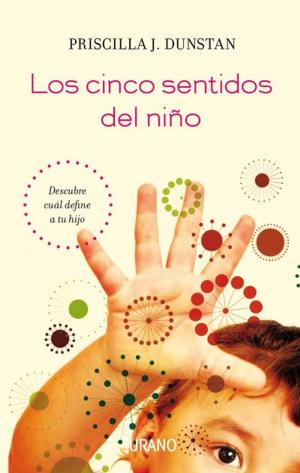Book cover of Los cinco sentidos del niño
