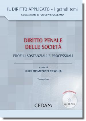 Book cover of Diritto penale delle società