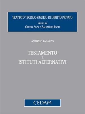 Cover of the book Testamento e istituti alternativi by De Filippis Bruno, De Filippis Renato, Lettieri Angela Linda, DI MARCO GIUSEPPE, STARITA VINCENZO, ZAMBRANO VIRGINIA