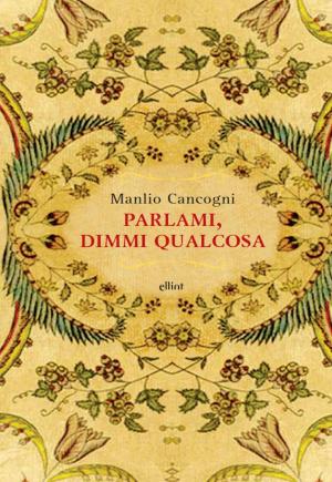 Cover of the book Parlami, dimmi qualcosa by Dj Stalingrad