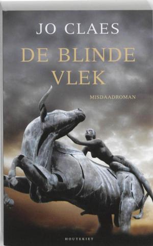 Book cover of De blinde vlek