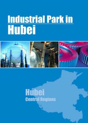 Cover of the book Industrial Parks in Hubei by Chong Loong Charles Chaw