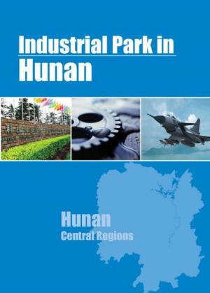 Book cover of Industrial Parks in Hunan