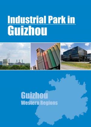 Cover of the book Industrial Parks in Guizhou by Chong Loong Charles Chaw