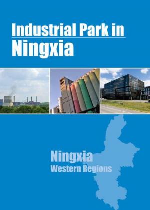 Book cover of Industrial Parks in Ningxia