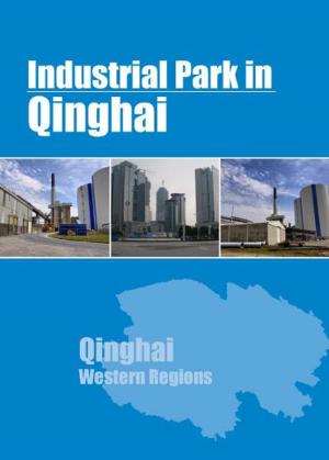 Cover of the book Industrial Parks in Qinghai by Chong Loong Charles Chaw