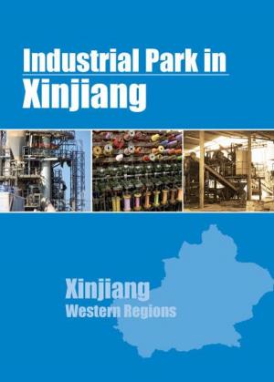 bigCover of the book Industrial Parks in Xinjiang by 