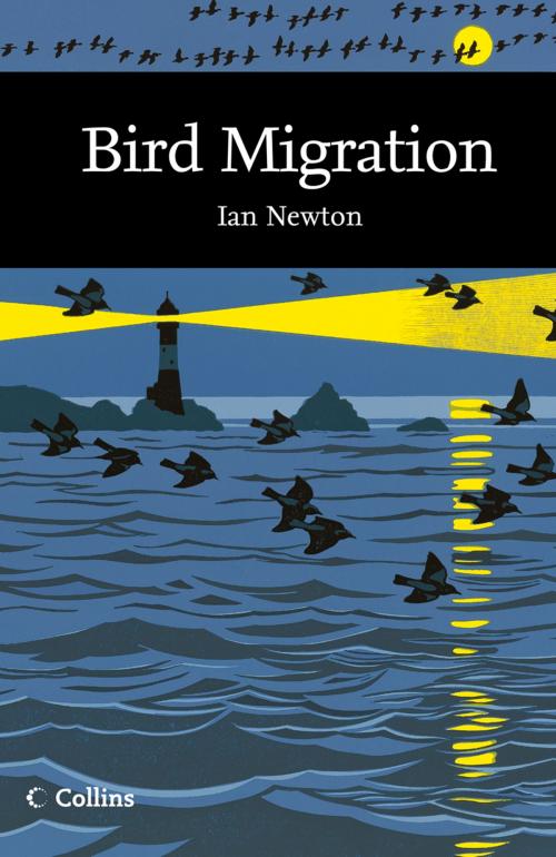 Cover of the book Bird Migration (Collins New Naturalist Library, Book 113) by Ian Newton, HarperCollins Publishers