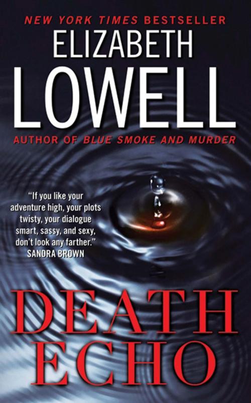 Cover of the book Death Echo by Elizabeth Lowell, HarperCollins e-books