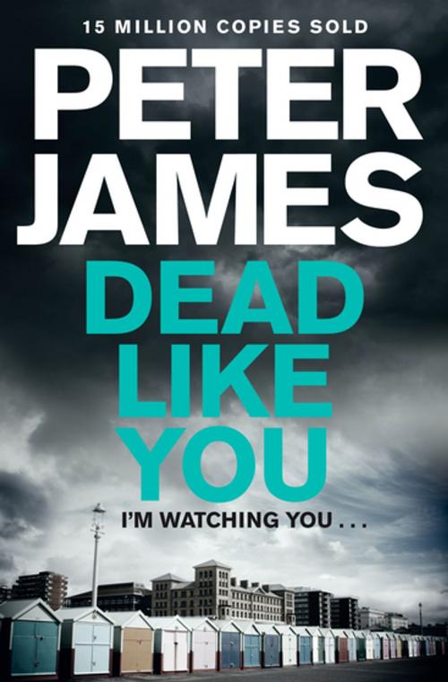Cover of the book Dead Like You by Peter James, Pan Macmillan