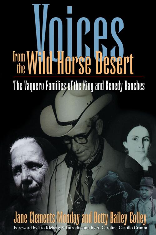 Cover of the book Voices from the Wild Horse Desert by Jane Clements Monday, Betty Bailey  Colley, University of Texas Press