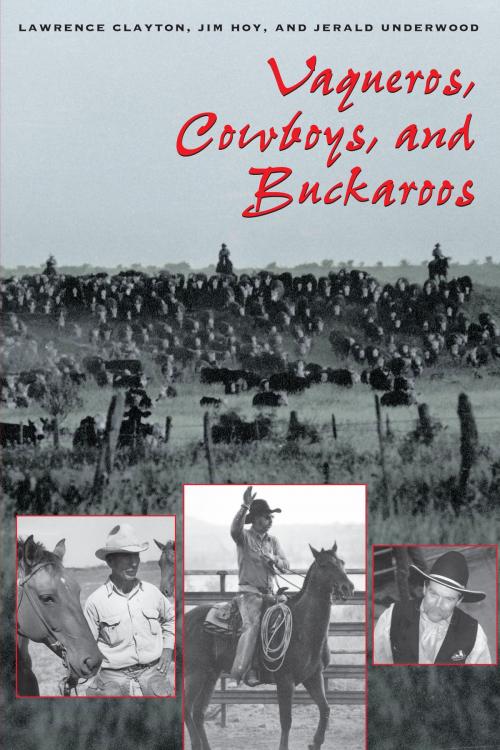 Cover of the book Vaqueros, Cowboys, and Buckaroos by Lawrence Clayton, Jim Hoy, Jerald Underwood, University of Texas Press