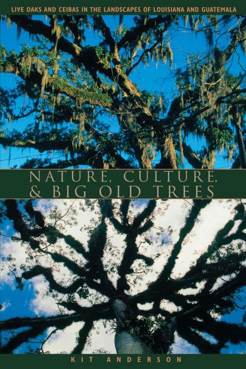 Cover of the book Nature, Culture, and Big Old Trees by Kit  Anderson, University of Texas Press