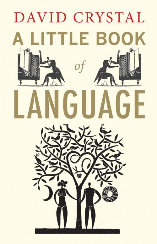 Cover of the book A Little Book of Language by David Crystal, Yale University Press