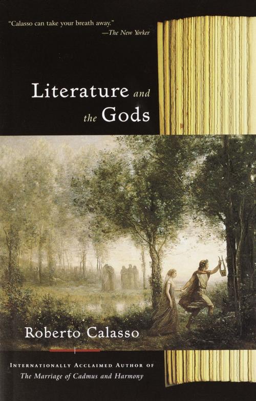 Cover of the book Literature and the Gods by Roberto Calasso, Knopf Doubleday Publishing Group