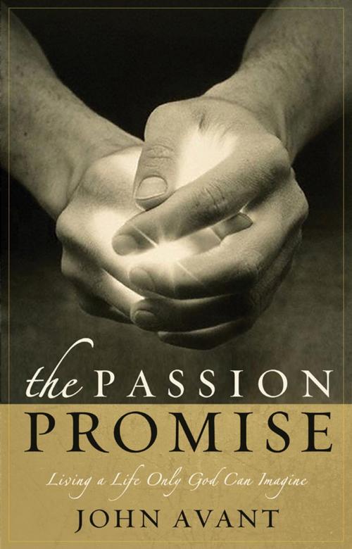 Cover of the book The Passion Promise by John Avant, The Crown Publishing Group