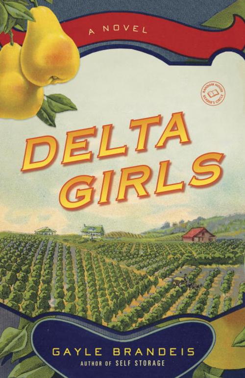 Cover of the book Delta Girls by Gayle Brandeis, Random House Publishing Group