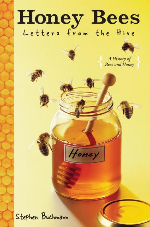 Cover of the book Honey Bees by Stephen Buchmann, Random House Children's Books