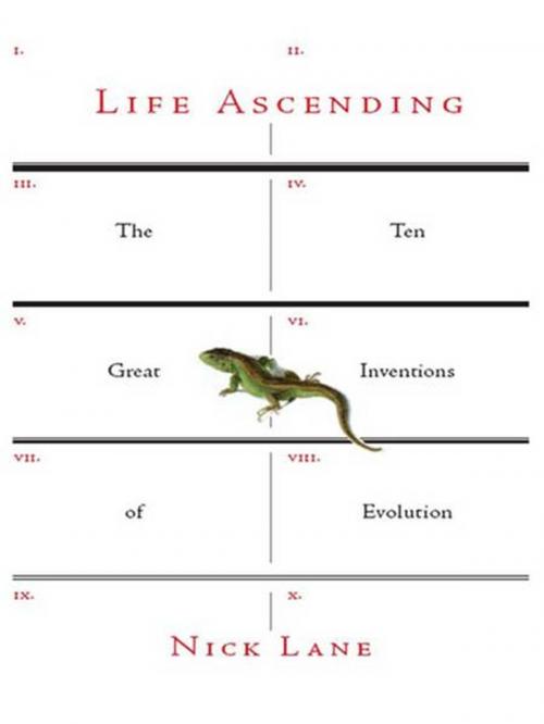 Cover of the book Life Ascending: The Ten Great Inventions of Evolution by Nick Lane, W. W. Norton & Company