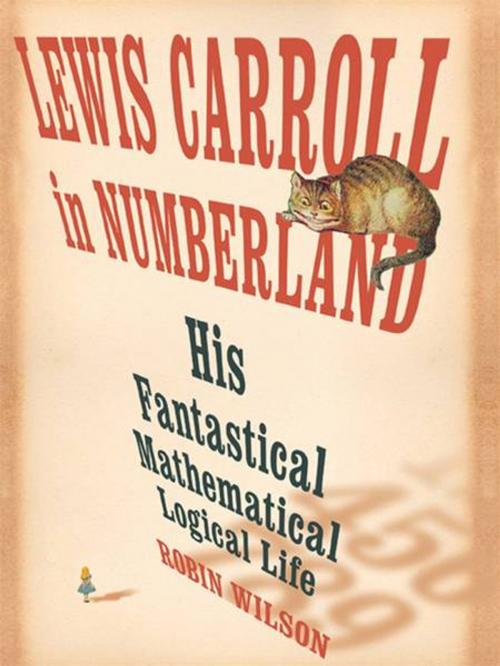 Cover of the book Lewis Carroll in Numberland: His Fantastical Mathematical Logical Life by Robin Wilson, W. W. Norton & Company