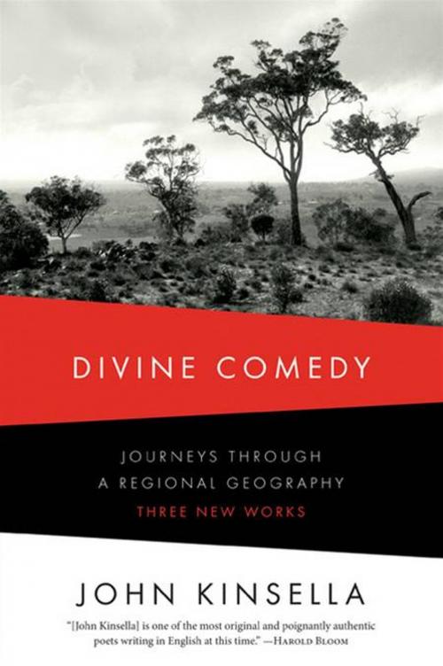 Cover of the book Divine Comedy: Journeys Through a Regional Geography: Three New Works by John Kinsella, W. W. Norton & Company