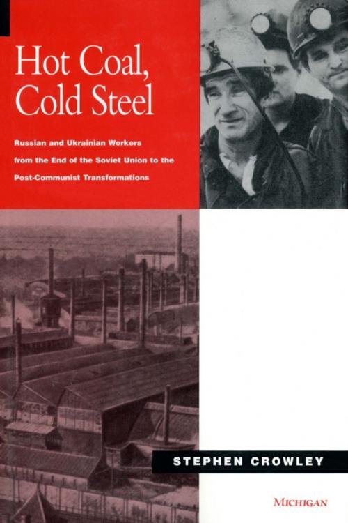 Cover of the book Hot Coal, Cold Steel by Stephen Crowley, University of Michigan Press