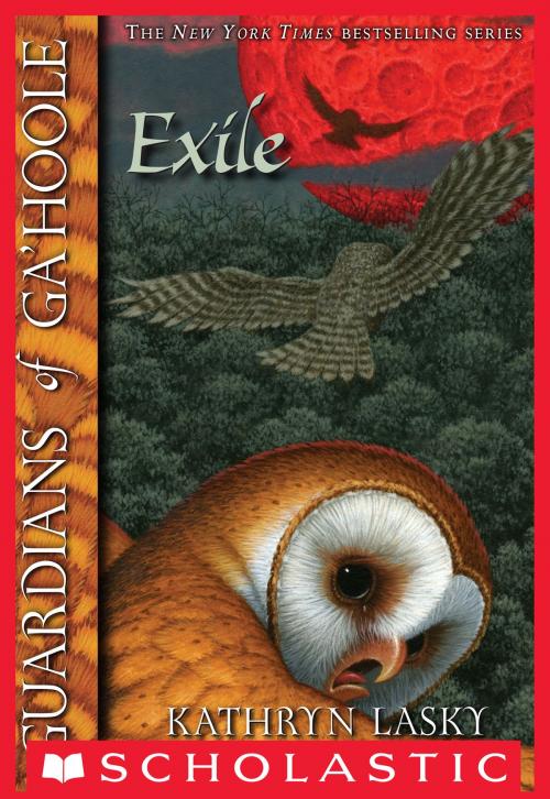 Cover of the book Guardians of Ga'Hoole #14: The Exile by Kathryn Lasky, Scholastic Inc.