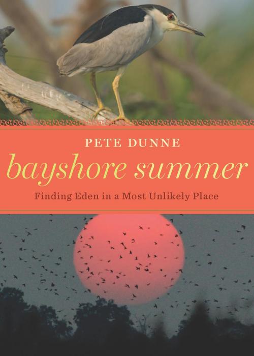Cover of the book Bayshore Summer by Pete Dunne, HMH Books