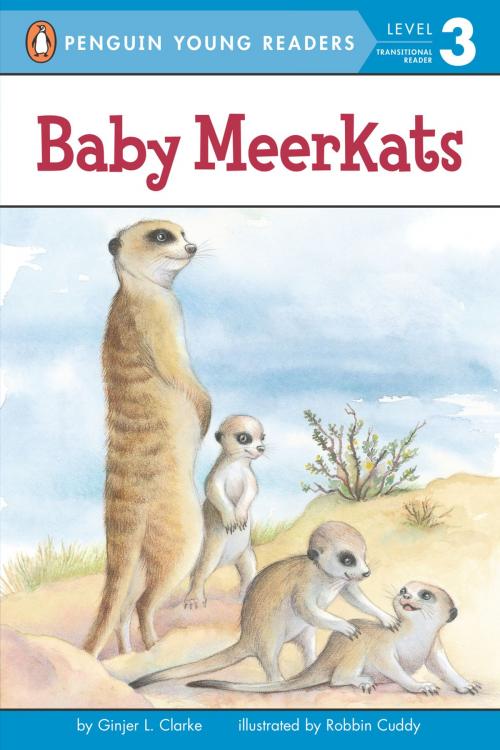 Cover of the book Baby Meerkats by Ginjer L. Clarke, Penguin Young Readers Group