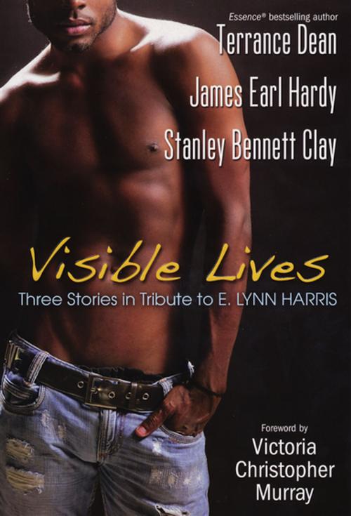 Cover of the book Visible Lives: by Stanley Bennett Clay, Terrance Dean, James Earl Hardy, Kensington Books
