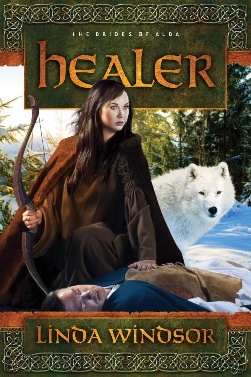 Cover of the book Healer: A Novel by Linda Windsor, David C. Cook