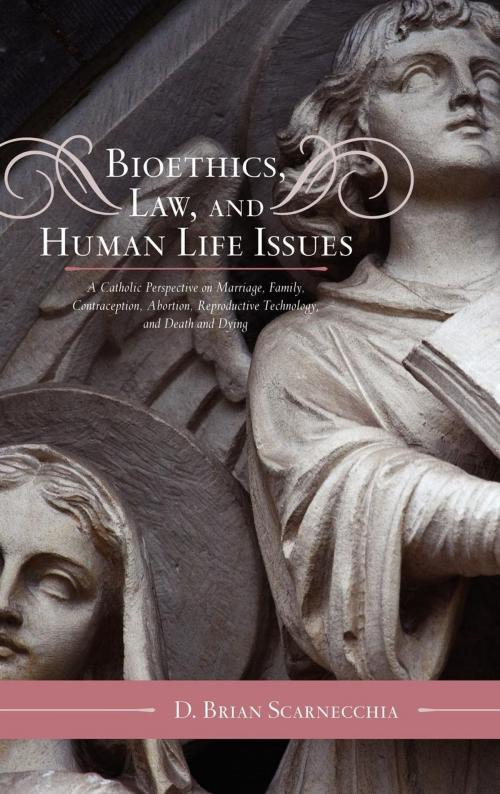 Cover of the book Bioethics, Law, and Human Life Issues by D. Brian Scarnecchia, Scarecrow Press