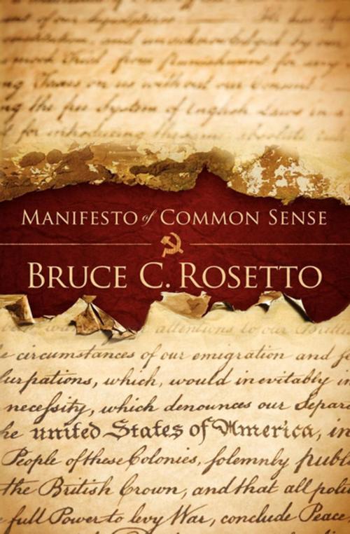 Cover of the book Manifesto of Common Sense by Bruce C. Rosetto, Morgan James Publishing