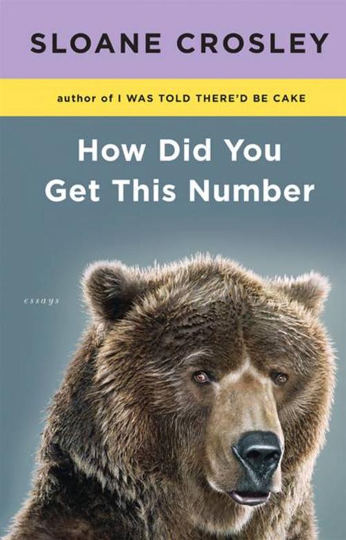 Cover of the book How Did You Get This Number by Sloane Crosley, Penguin Publishing Group