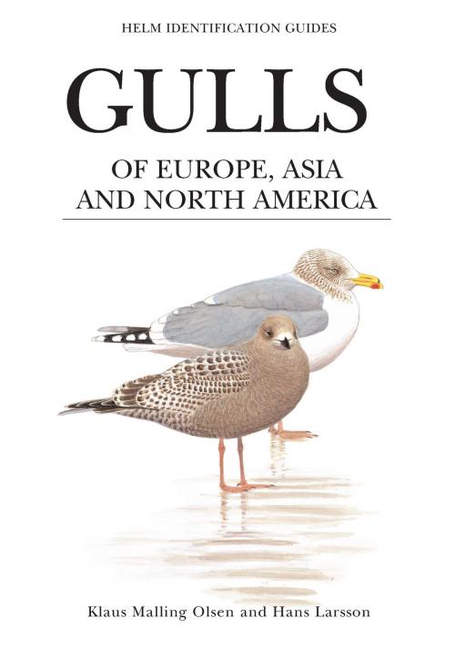 Cover of the book Gulls of Europe, Asia and North America by Klaus Malling Olsen, Bloomsbury Publishing