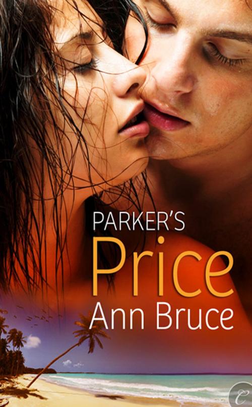 Cover of the book Parker's Price by Ann Bruce, Carina Press
