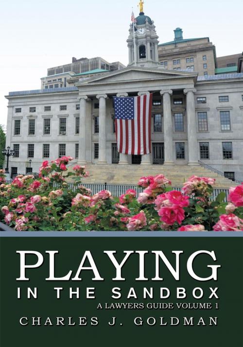 Cover of the book Playing in the Sandbox by Charles J. Goldman, Trafford Publishing