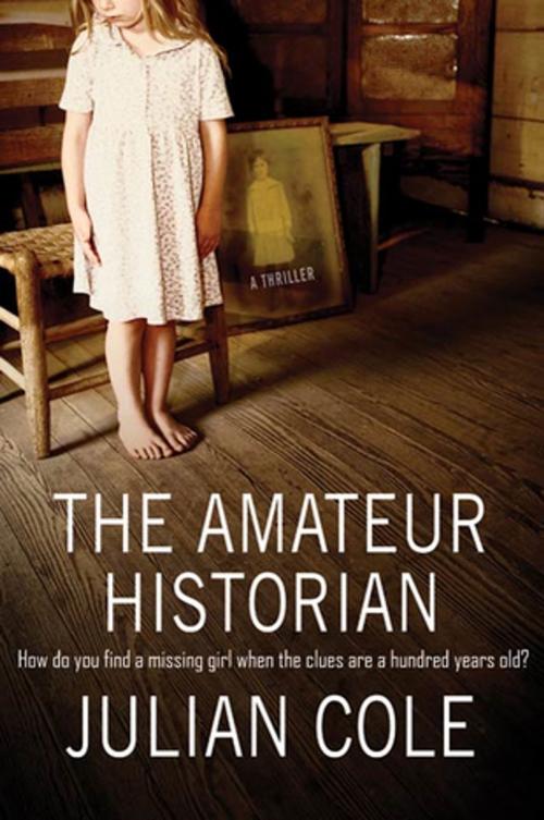 Cover of the book The Amateur Historian by Julian Cole, St. Martin's Press