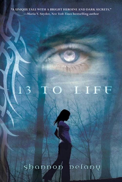Cover of the book 13 to Life by Shannon Delany, St. Martin's Press