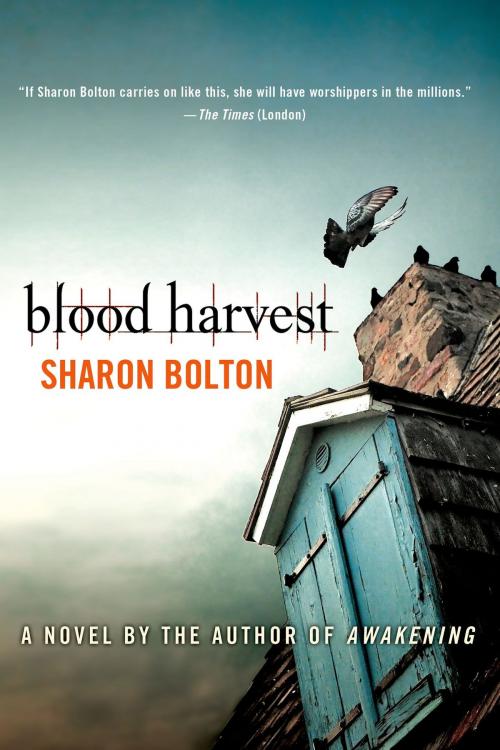 Cover of the book Blood Harvest by Sharon Bolton, S. J. Bolton, St. Martin's Press