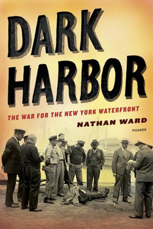 Cover of the book Dark Harbor by Nathan Ward, Farrar, Straus and Giroux