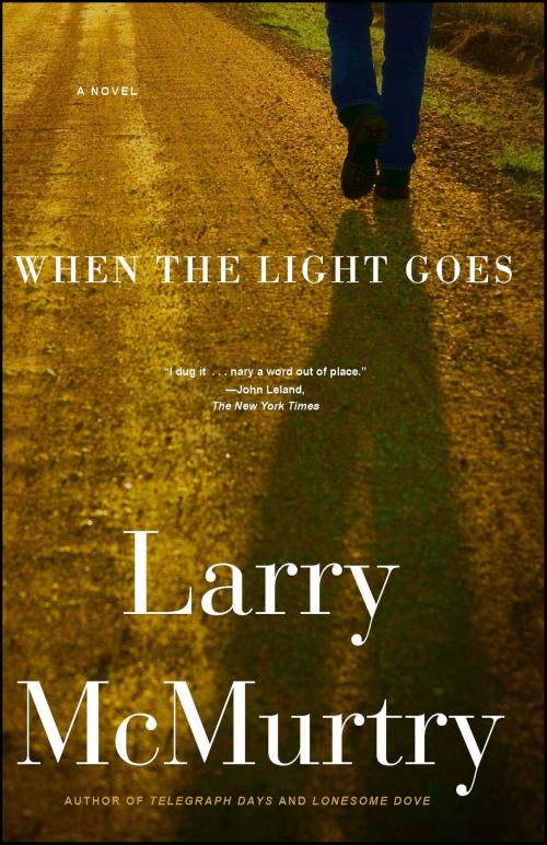 Cover of the book When the Light Goes by Larry McMurtry, Simon & Schuster