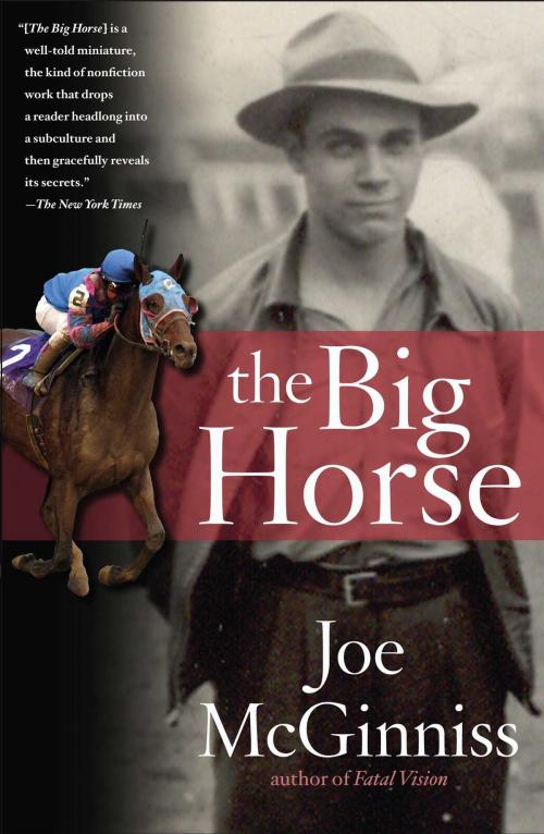 Cover of the book The Big Horse by Joe McGinniss, Simon & Schuster