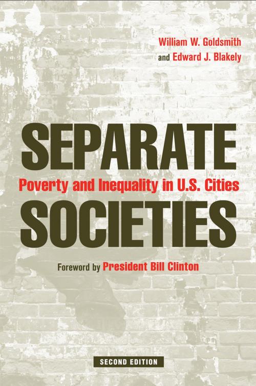 Cover of the book Separate Societies by William Goldsmith, Edward Blakely, Temple University Press